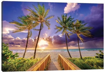 Paradise, Miami Florida Canvas Art Print - Tropical Beach Art