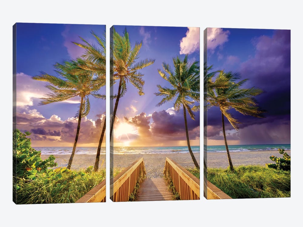 Paradise, Miami Florida by Susanne Kremer 3-piece Canvas Print