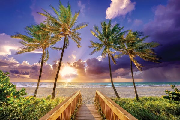 Tropical Beaches: Paradise, Miami Florida by Susanne Kremer