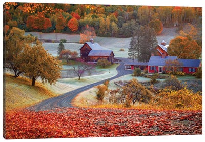 Golden Fall Vermont, New England Canvas Art Print - Country Scenic Photography