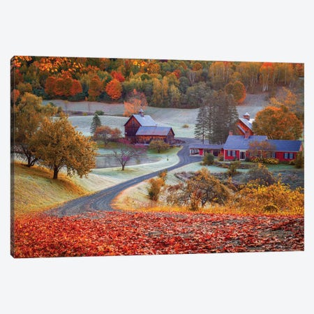 Golden Fall Vermont, New England Canvas Print #SKR853} by Susanne Kremer Canvas Art