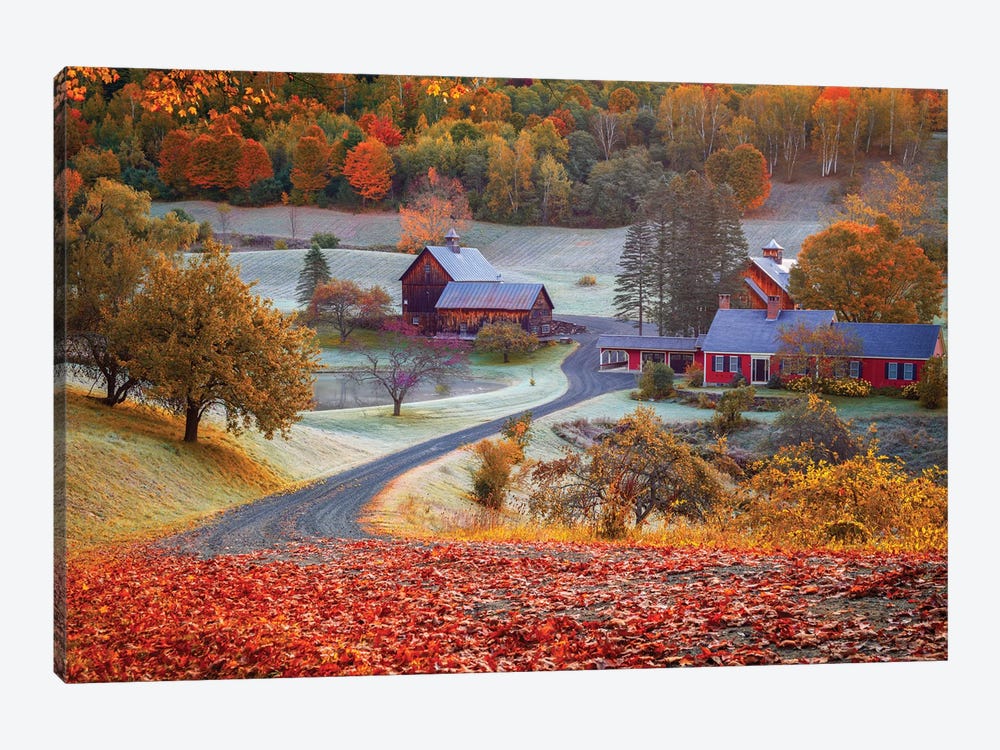 Golden Fall Vermont, New England by Susanne Kremer 1-piece Canvas Wall Art