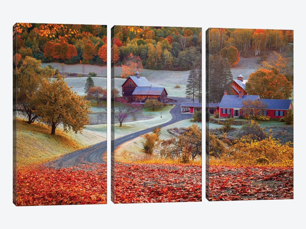 Golden Fall Vermont, New England by Susanne Kremer 3-piece Canvas Artwork