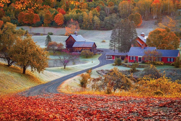 Vermont: Golden Fall Vermont, New England by Susanne Kremer