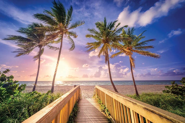 Tropical Beach Morning Florida by Susanne Kremer wall art
