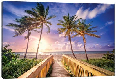 Tropical Beach Morning Florida Canvas Art Print - Susanne Kremer