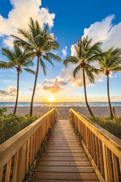 Florida: Palm Tree Path, Florida by Susanne Kremer
