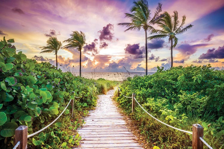 Awakening Florida Paradise by Susanne Kremer wall art