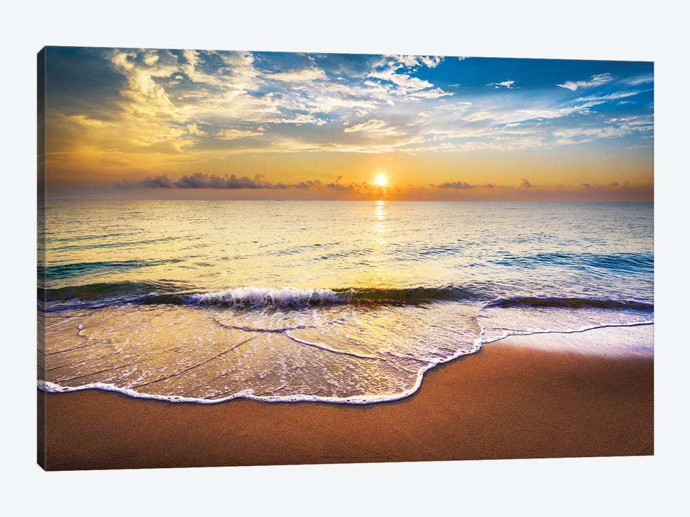 A New Day In Florida by Susanne Kremer 1-piece Art Print