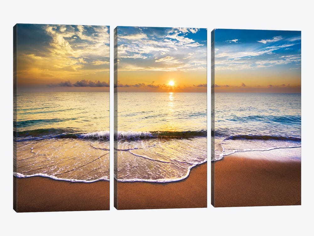 A New Day In Florida by Susanne Kremer 3-piece Canvas Print