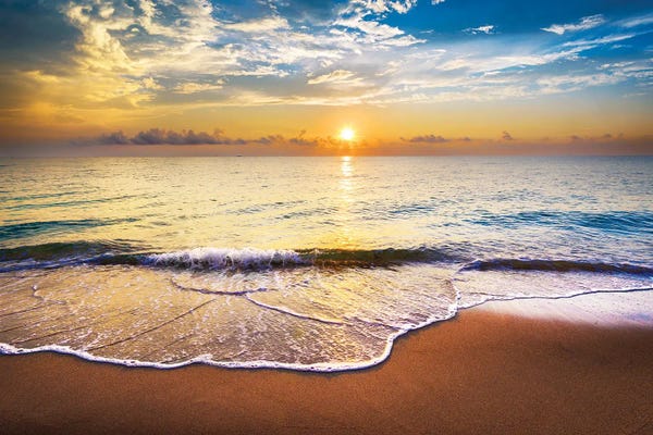 Florida: A New Day In Florida by Susanne Kremer