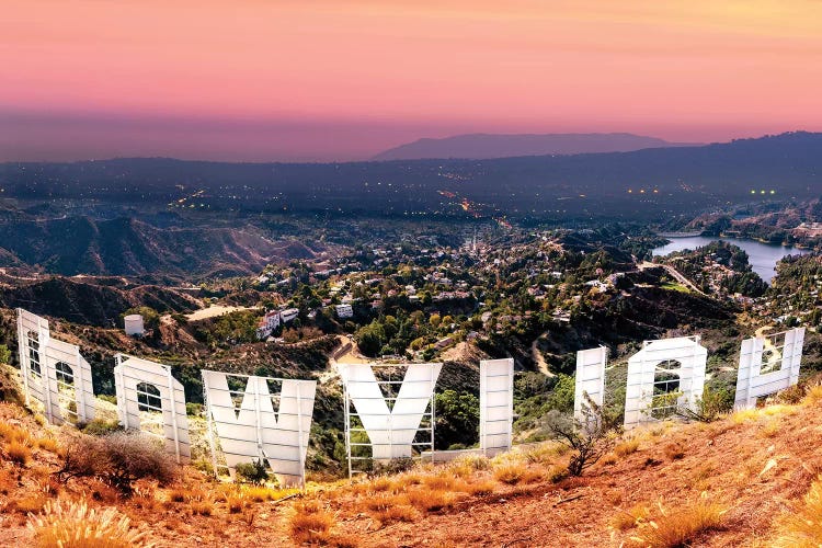 Hollywood Sign   by Susanne Kremer wall art