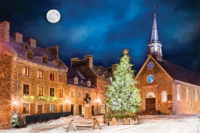 Night Moon by Susanne Kremer canvas print