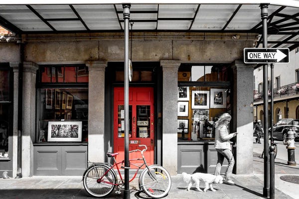 Dog Photography: Morning Walk New Orleans by Susanne Kremer