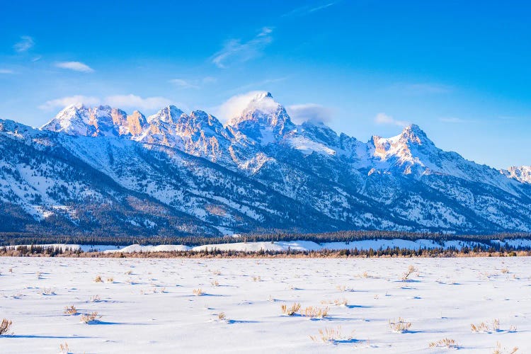 Grand Teton Winter