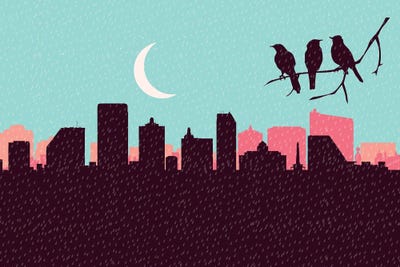 Atlantic City Rainy Birds by SKYWORLDPROJECT framed wall art