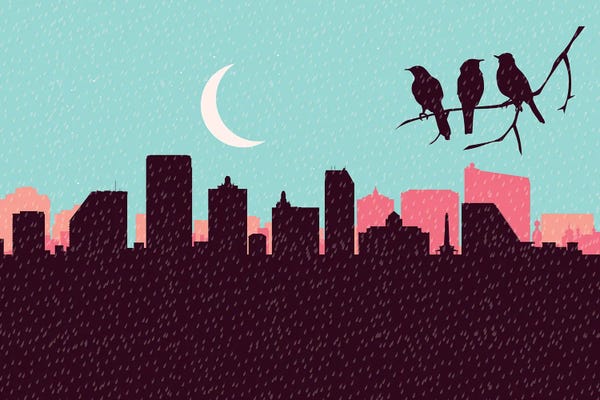 Atlantic City: Atlantic City Rainy Birds by SKYWORLDPROJECT