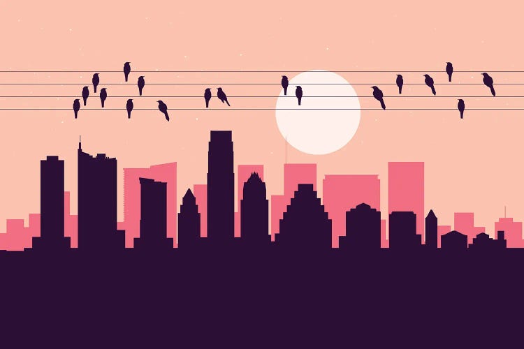 Austin Birds by SKYWORLDPROJECT wall art