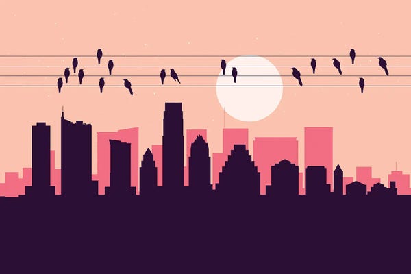 Austin: Austin Birds by SKYWORLDPROJECT