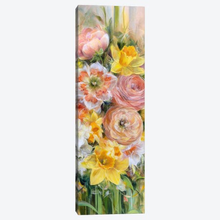 Daffodils And Ranunculus Canvas Print #SKX10} by Alissa Kari Canvas Art Print