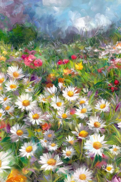 Daisies: Daisy Meadow by Alissa Kari