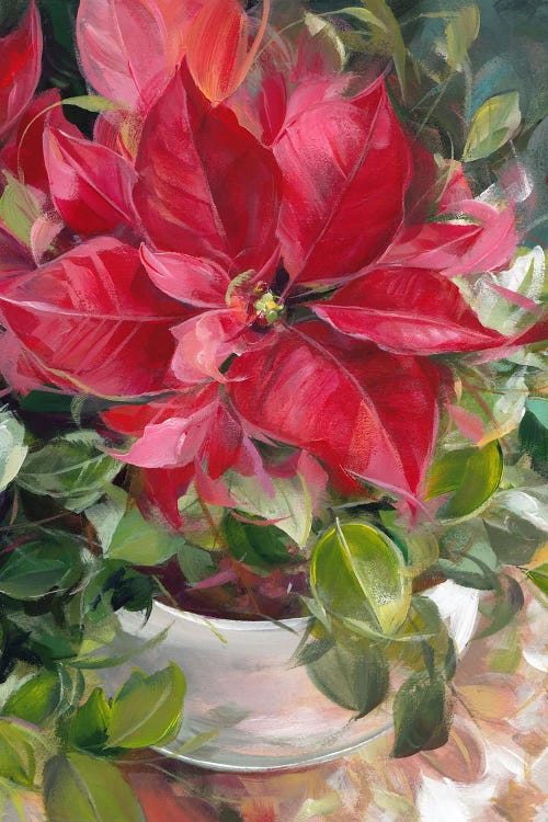 Poinsettia by Alissa Kari wall art