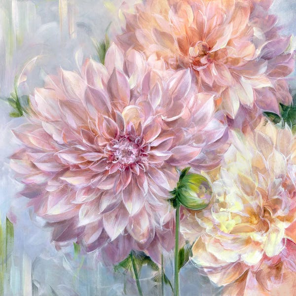 Dahlias: Cafe Au Lait by Alissa Kari