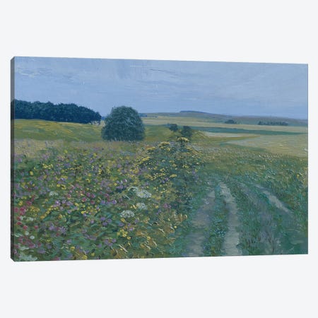 Field In Repose Canvas Print #SKZ10} by Simon Kozhin Art Print