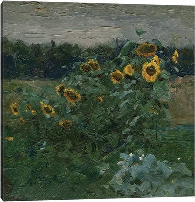 Suns Canvas Art Print - Van Gogh's Sunflowers Collection