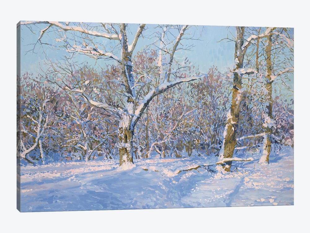 December by Simon Kozhin 1-piece Canvas Art Print