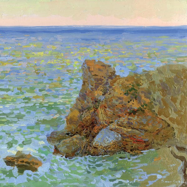 Artists Like Monet: Wild Beach Odessa by Simon Kozhin