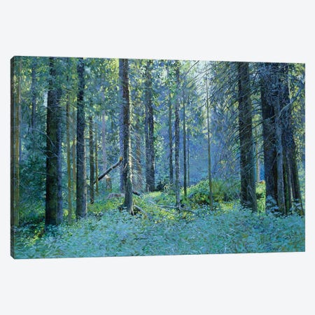 Balaam Thick Of The Forest Canvas Print #SKZ119} by Simon Kozhin Canvas Artwork
