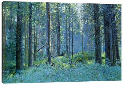 Balaam Thick Of The Forest Canvas Art Print - Plein Air Paintings