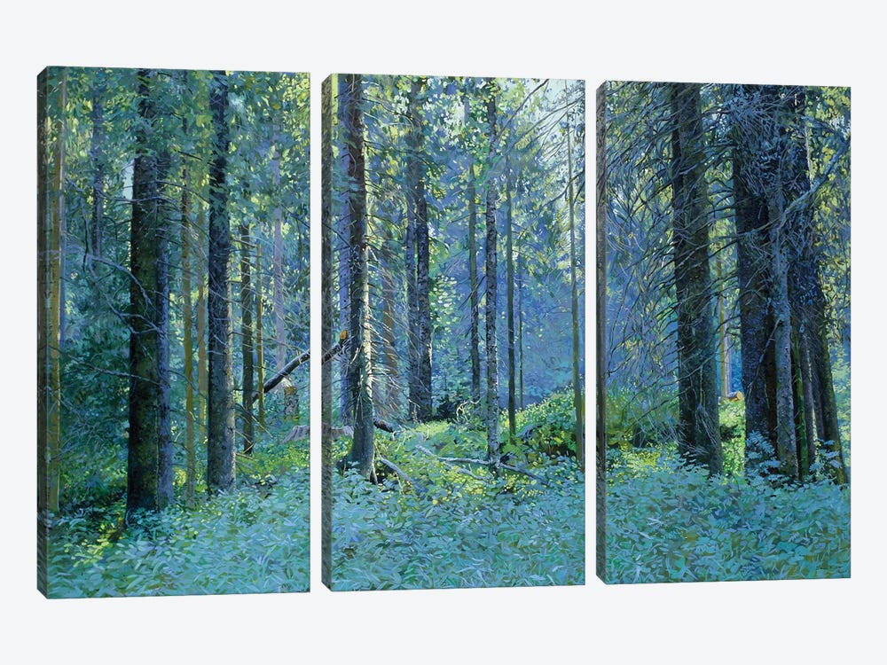 Balaam Thick Of The Forest by Simon Kozhin 3-piece Canvas Art Print