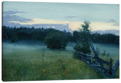 Twilight Fog Canvas Art Print - Simon Kozhin