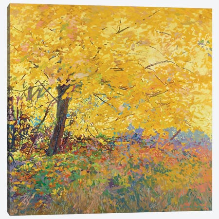 Autumn Maple Canvas Print #SKZ125} by Simon Kozhin Canvas Art