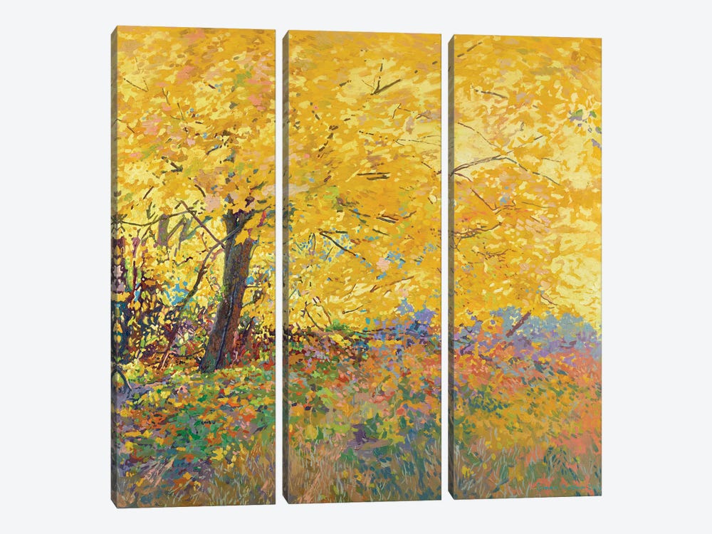 Autumn Maple by Simon Kozhin 3-piece Canvas Wall Art