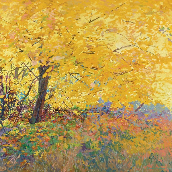 Plein Air Paintings: Autumn Maple by Simon Kozhin