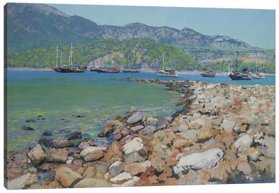 Sunny's Harbor Canvas Art Print - Simon Kozhin