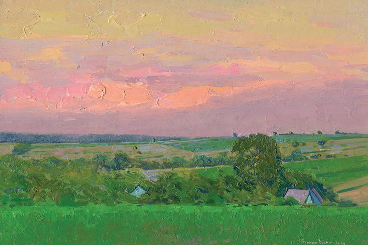 Pink Sky by Simon Kozhin wall art