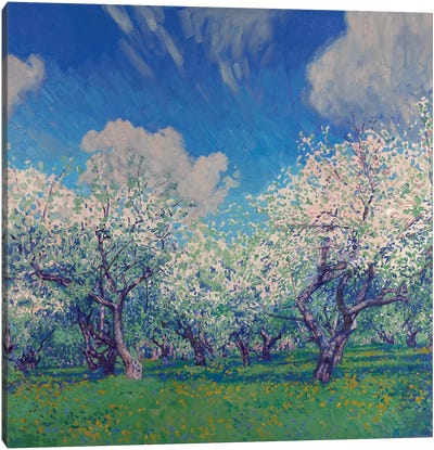 Blooming Apple Trees In May Canvas Art Print - Blossom Art