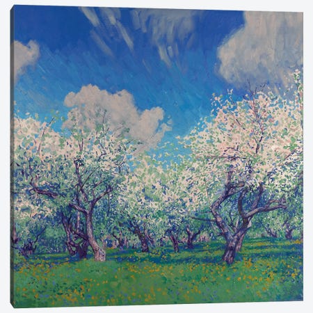 Blooming Apple Trees In May Canvas Print #SKZ222} by Simon Kozhin Canvas Wall Art