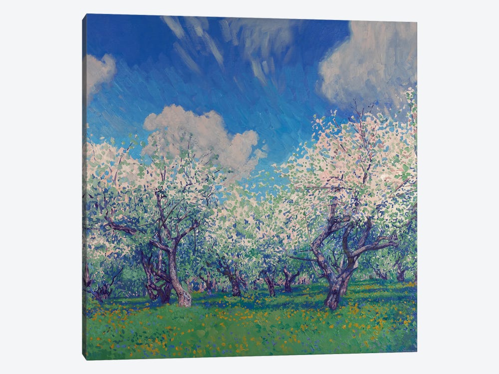 Blooming Apple Trees In May by Simon Kozhin 1-piece Canvas Print