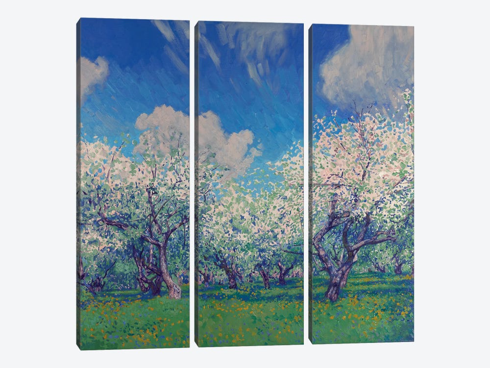 Blooming Apple Trees In May by Simon Kozhin 3-piece Canvas Print