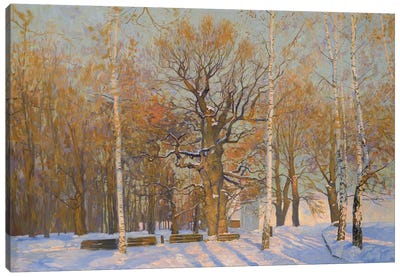 Old Oak In Kolomenskoye Canvas Art Print - Moscow Art