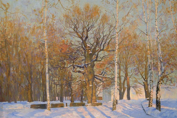 Old Oak In Kolomenskoye