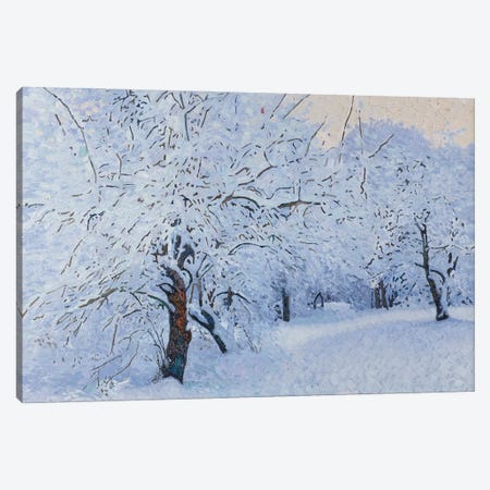 Snow Covered Garden In Kuzminki Canvas Print #SKZ225} by Simon Kozhin Canvas Art Print