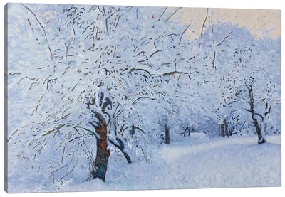 Snow Covered Garden In Kuzminki Canvas Art Print