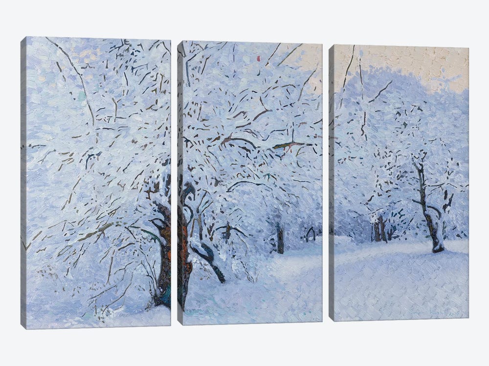 Snow Covered Garden In Kuzminki 3-piece Canvas Wall Art