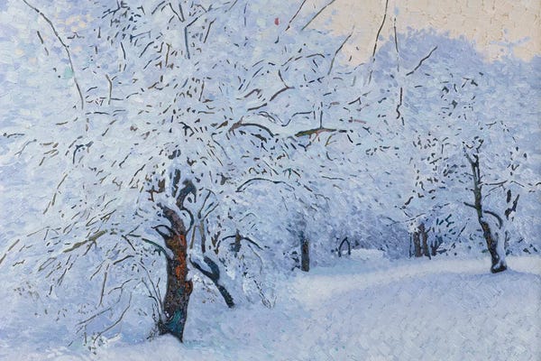 Snow Covered Garden In Kuzminki